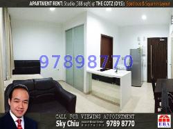 The Cotz (D15), Apartment #13303892